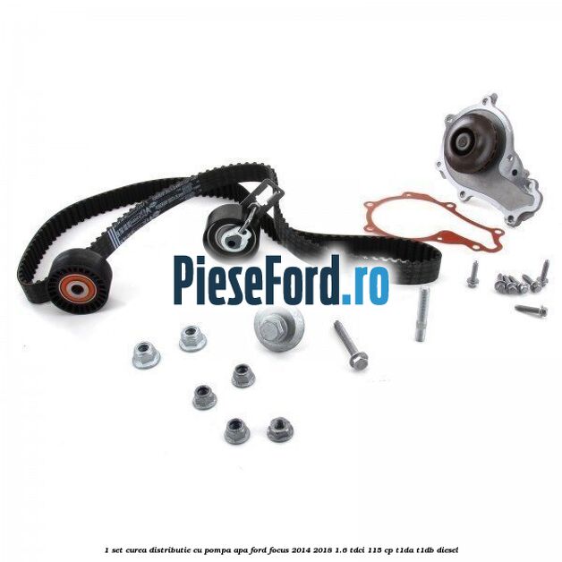 1 Set curea distributie cu pompa apa Ford Focus 2014-2018 1.6 TDCi 115 cp 1 Set curea distributie cu pompa apa Ford Focus 2014-2018 1.6 TDCi 115 cp T1DA, T1DB diesel