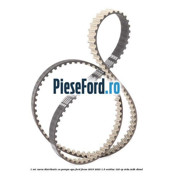 1 Set curea distributie cu pompa apa Ford Focus 2019-2023 1.5 EcoBlue 120 cp ZTDA, ZTDB diesel