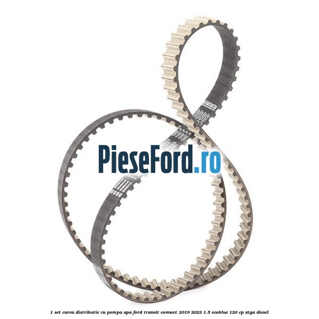 1 Set curea distributie cu pompa apa Ford Transit Connect 2019-2023 1.5 EcoBlue 120 cp 1 Set curea distributie cu pompa apa Ford Transit Connect 2019-2023 1.5 EcoBlue 120 cp ZTGA diesel