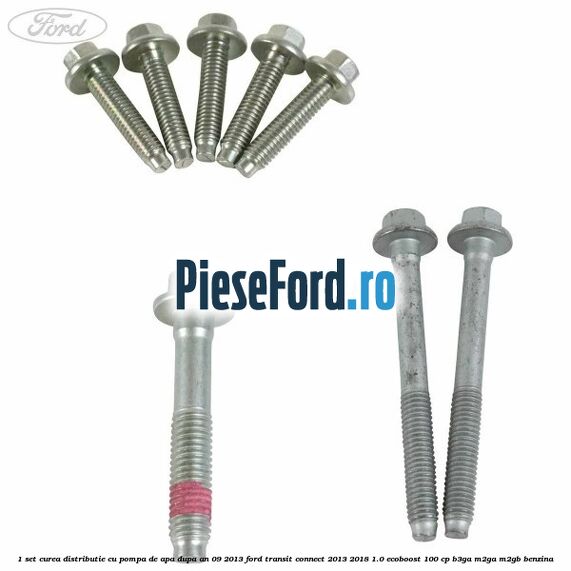 1 Set curea distributie cu pompa de apa dupa an 09/2013 Ford Transit Connect 2013-2018 1.0 EcoBoost 100 cp B3GA, M2GA, M2GB benzina