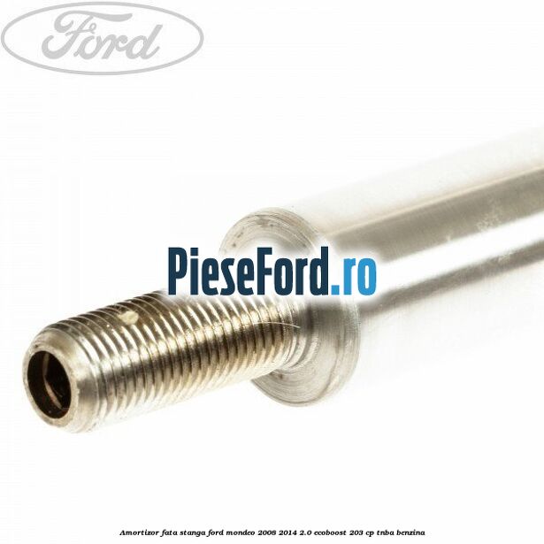 Amortizor fata stanga Ford Mondeo 2008-2014 2.0 EcoBoost 203 cp TNBA benzina
