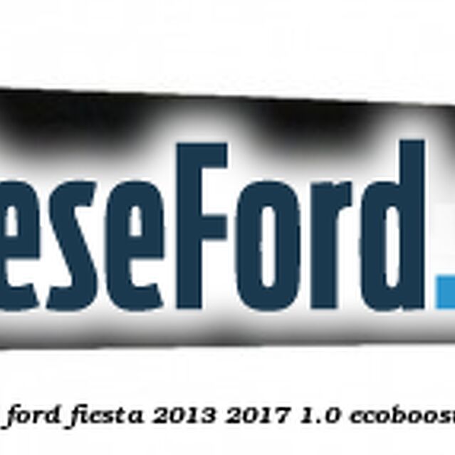 Bandou usa dreapta fata vertical Ford Fiesta 2013-2017 1.0 EcoBoost 100 cp SFJA, SFJB, SFJC, SFJD benzina