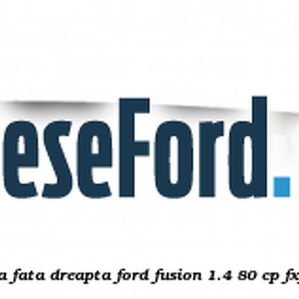 Bandou vertical usa fata dreapta Ford Fusion 1.4 80 cp FXJA, FXJB, FXJC benzina