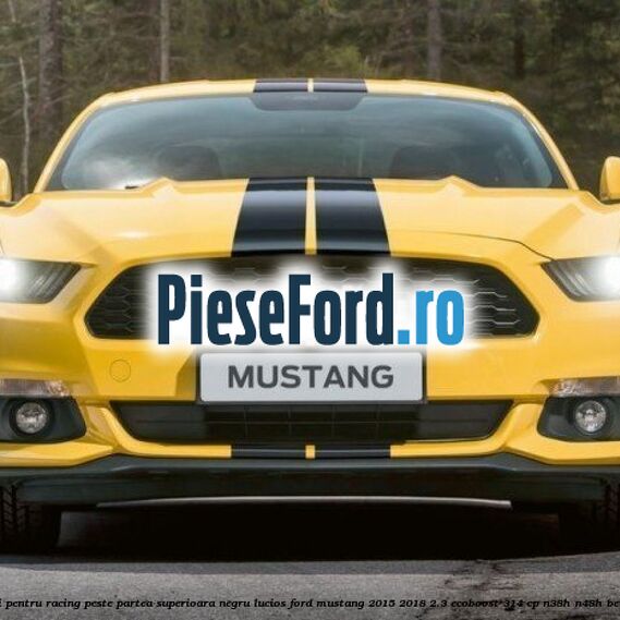 Benzi pentru racing peste partea superioara, negru lucios Ford Mustang 2015-2018 2.3 EcoBoost 314 cp N38H, N48H benzina