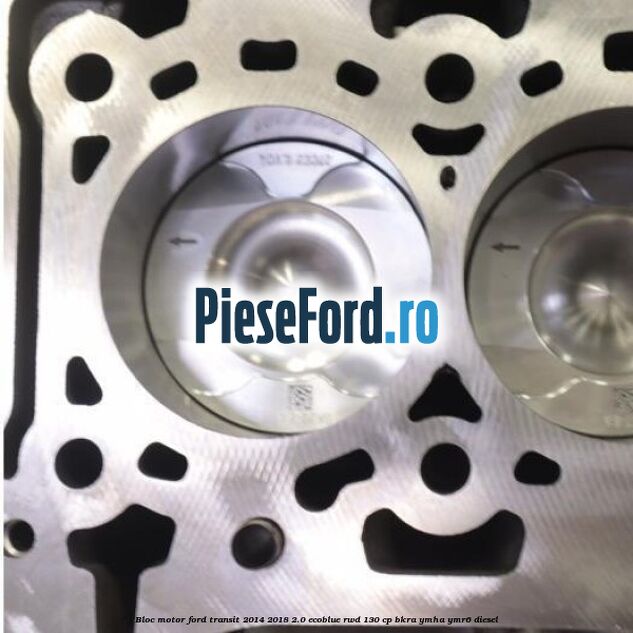 Bloc motor Ford Transit 2014-2018 2.0 EcoBlue RWD 130 cp BKRA, YMHA, YMR6 diesel