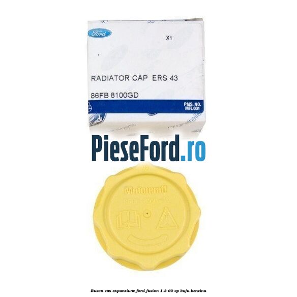 Buson vas expansiune Ford Fusion 1.3 60 cp BAJA benzina
