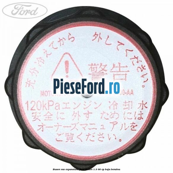 Buson vas expansiune Ford Fusion 1.3 60 cp BAJA benzina