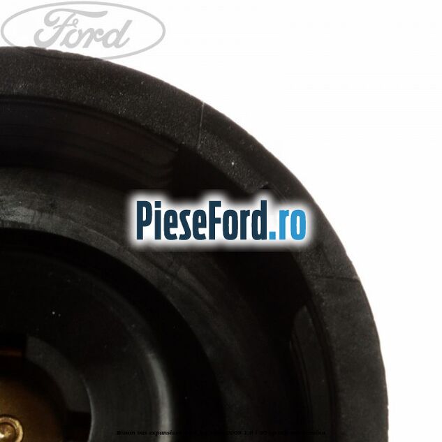 Buson vas expansiune Ford Ka 1996-2008 1.6 i 95 cp CDB, CDC benzina