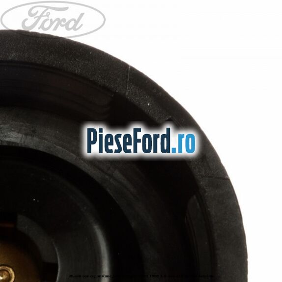 Buson vas expansiune Ford Mondeo 1993-1996 1.8 4x4 115 cp RKA benzina