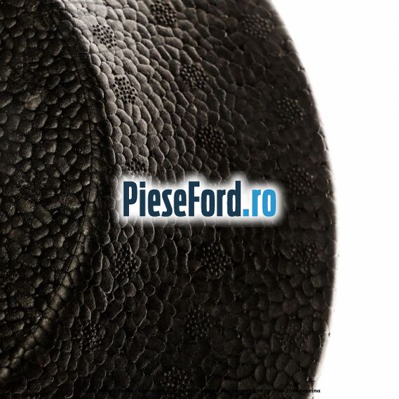 Capac suport roata rezerva Ford Focus 2011-2014 1.6 EcoBoost 182 cp Capac suport roata rezerva Ford Focus 2011-2014 1.6 EcoBoost 182 cp JTDA, JTDB benzina