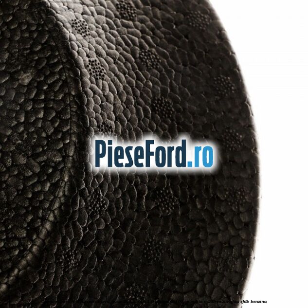 Capac suport roata rezerva Ford Focus 2014-2018 1.0 EcoBoost 100 cp M2DA, M2DB, M2DC, SFDA, SFDB benzina