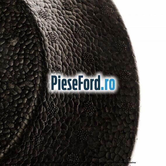 Capac suport roata rezerva Ford Focus 2014-2018 2.0 ST 250 cp Capac suport roata rezerva Ford Focus 2014-2018 2.0 ST 250 cp R9DA, R9DB, R9DC, R9DD benzina