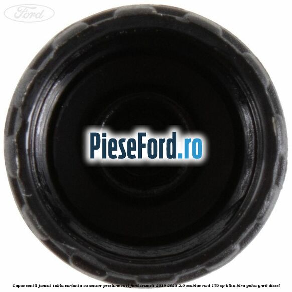 Capac ventil jantat tabla, varianta cu senzor presiune roti Ford Transit 2019-2023 2.0 EcoBlue RWD 170 cp BLHA, BLRA, YNHA, YNR6 diesel