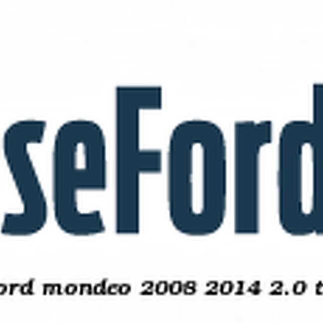 Cheder geam usa dreapta fata Ford Mondeo 2008-2014 2.0 TDCi 115 cp Cheder geam usa dreapta fata Ford Mondeo 2008-2014 2.0 TDCi 115 cp KLBA, LPBA, TYBA diesel