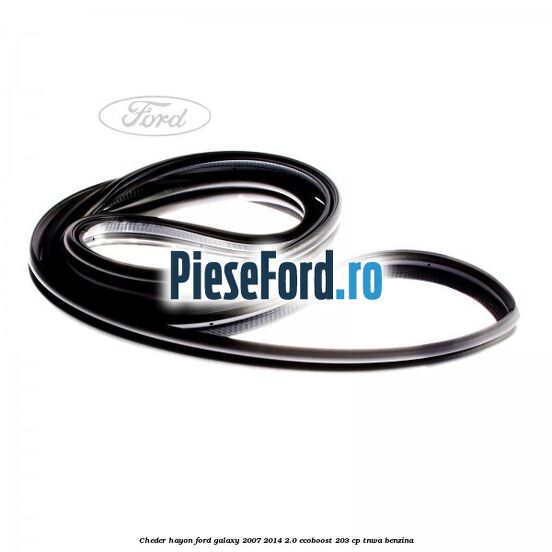 Cheder hayon Ford Galaxy 2007-2014 2.0 EcoBoost 203 cp TNWA benzina