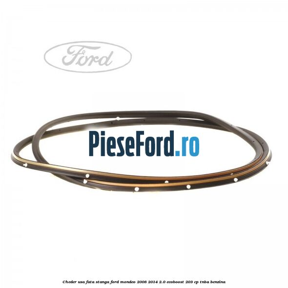 Cheder usa fata stanga Ford Mondeo 2008-2014 2.0 EcoBoost 203 cp TNBA benzina