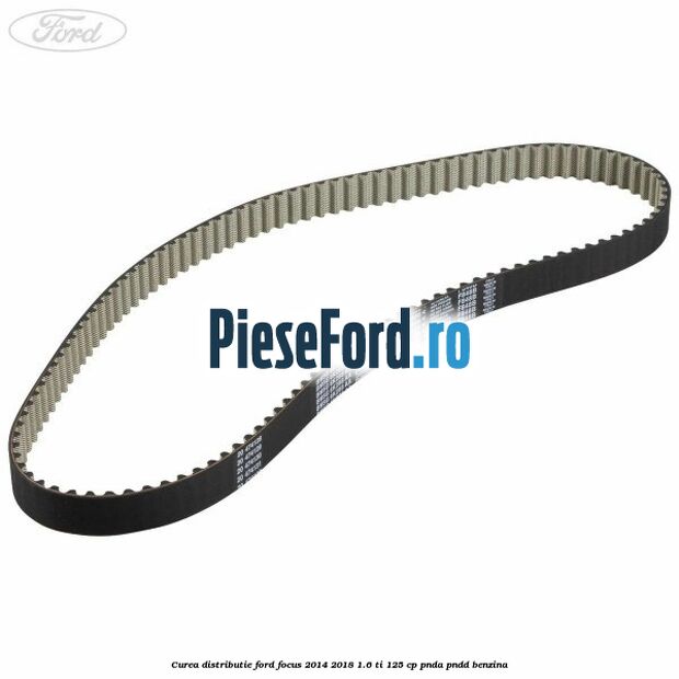 Curea distributie Ford Focus 2014-2018 1.6 Ti 125 cp PNDA, PNDD benzina