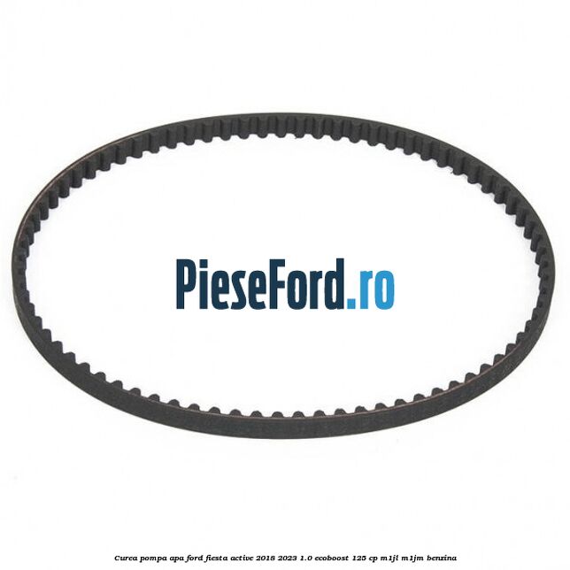 Curea pompa apa Ford Fiesta Active 2018-2023 1.0 EcoBoost 125 cp M1JL, M1JM benzina