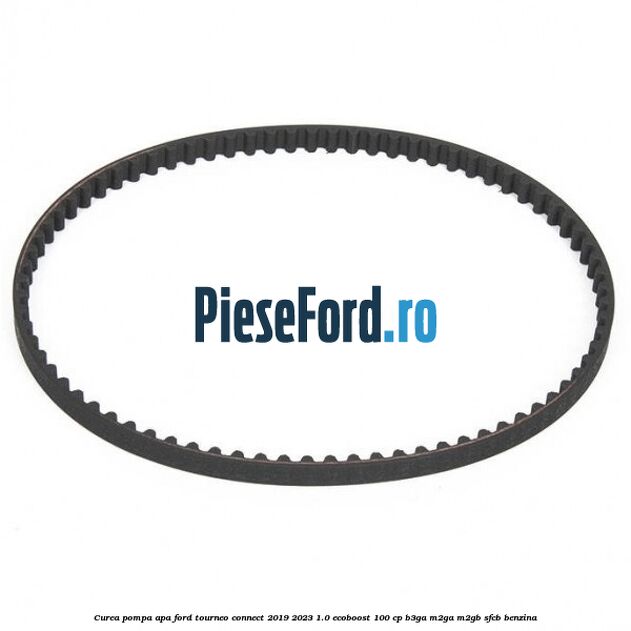 Curea pompa apa Ford Tourneo Connect 2019-2023 1.0 EcoBoost 100 cp B3GA, M2GA, M2GB, SFCB benzina