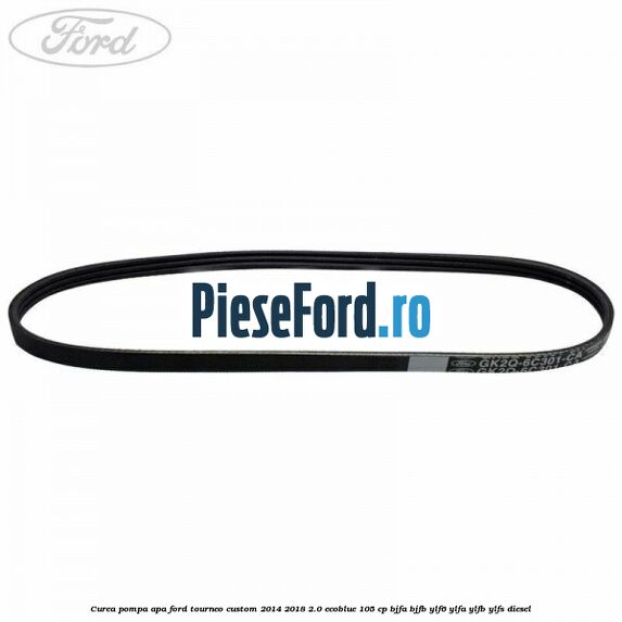 Curea pompa apa Ford Tourneo Custom 2014-2018 2.0 EcoBlue 105 cp Curea pompa apa Ford Tourneo Custom 2014-2018 2.0 EcoBlue 105 cp BJFA, BJFB, YLF6, YLFA, YLFB, YLFS diesel