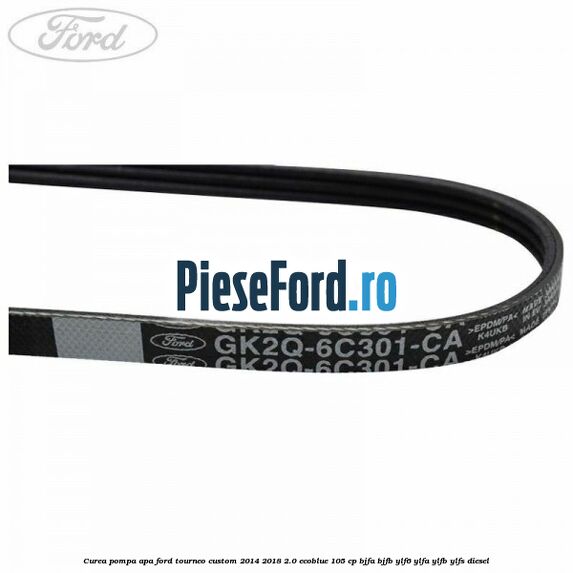 Curea pompa apa Ford Tourneo Custom 2014-2018 2.0 EcoBlue 105 cp Curea pompa apa Ford Tourneo Custom 2014-2018 2.0 EcoBlue 105 cp BJFA, BJFB, YLF6, YLFA, YLFB, YLFS diesel