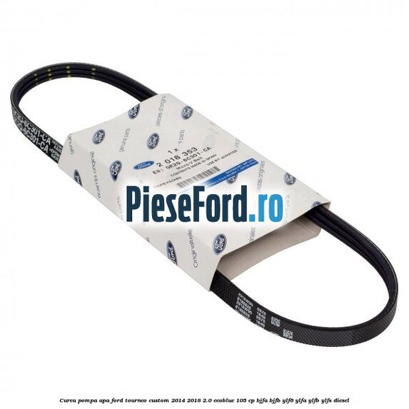 Curea pompa apa Ford Tourneo Custom 2014-2018 2.0 EcoBlue 105 cp Curea pompa apa Ford Tourneo Custom 2014-2018 2.0 EcoBlue 105 cp BJFA, BJFB, YLF6, YLFA, YLFB, YLFS diesel