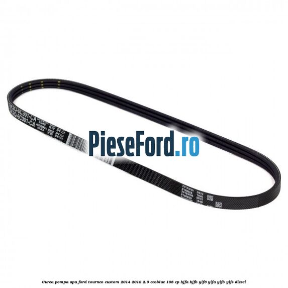 Curea pompa apa Ford Tourneo Custom 2014-2018 2.0 EcoBlue 105 cp Curea pompa apa Ford Tourneo Custom 2014-2018 2.0 EcoBlue 105 cp BJFA, BJFB, YLF6, YLFA, YLFB, YLFS diesel