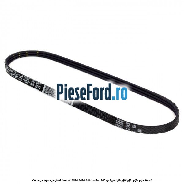 Curea pompa apa Ford Transit 2014-2018 2.0 EcoBlue 105 cp Curea pompa apa Ford Transit 2014-2018 2.0 EcoBlue 105 cp BJFA, BJFB, YLF6, YLFA, YLFB, YLFS diesel
