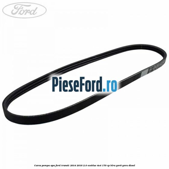 Curea pompa apa Ford Transit 2014-2018 2.0 EcoBlue 4x4 170 cp BLRA, YNR6, YNRA diesel