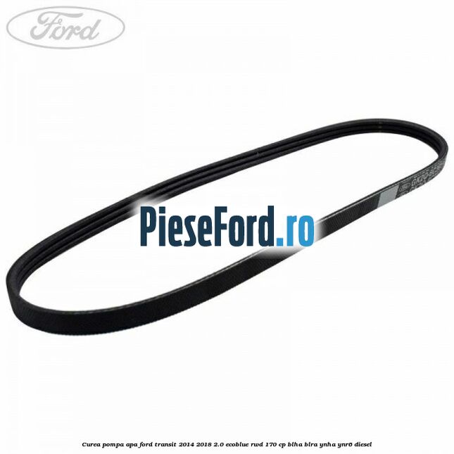 Curea pompa apa Ford Transit 2014-2018 2.0 EcoBlue RWD 170 cp BLHA, BLRA, YNHA, YNR6 diesel