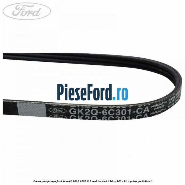 Curea pompa apa Ford Transit 2019-2023 2.0 EcoBlue RWD 170 cp BLHA, BLRA, YNHA, YNR6 diesel