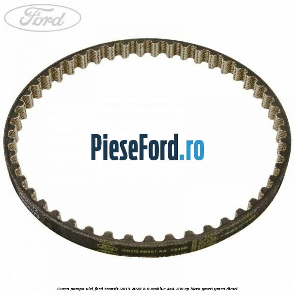 Curea pompa ulei Ford Transit 2019-2023 2.0 EcoBlue 4x4 130 cp Curea pompa ulei Ford Transit 2019-2023 2.0 EcoBlue 4x4 130 cp BKRA, YMR6, YMRA diesel