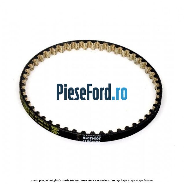 Curea pompa ulei Ford Transit Connect 2019-2023 1.0 EcoBoost 100 cp B3GA, M2GA, M2GB benzina