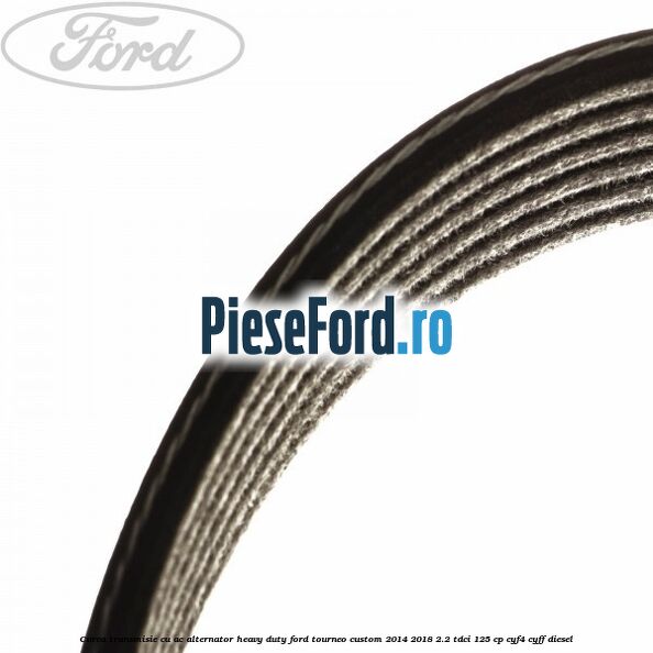 Curea transmisie cu AC alternator heavy duty Ford Tourneo Custom 2014-2018 2.2 TDCi 125 cp Curea transmisie cu AC alternator heavy duty Ford Tourneo Custom 2014-2018 2.2 TDCi 125 cp CYF4, CYFF diesel