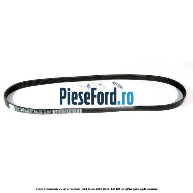 Curea transmisie cu AC strechbelt Ford Focus 2008-2011 1.8 125 cp Curea transmisie cu AC strechbelt Ford Focus 2008-2011 1.8 125 cp Q7DA, QQDA, QQDB benzina
