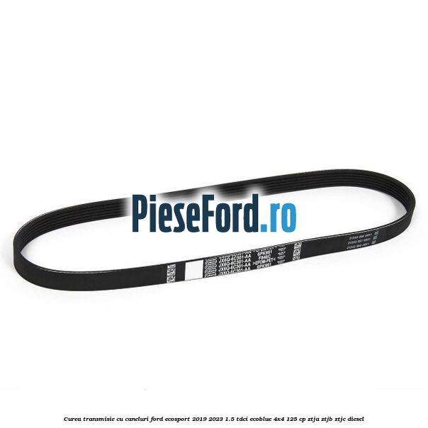Curea transmisie cu caneluri Ford EcoSport 2019-2023 1.5 TDCi EcoBlue 4x4 125 cp ZTJA, ZTJB, ZTJC diesel