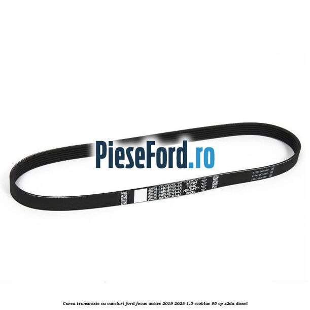 Curea transmisie cu caneluri Ford Focus Active 2019-2023 1.5 EcoBlue 95 cp Z2DA diesel