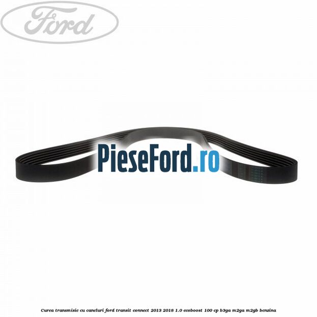 Curea transmisie cu caneluri Ford Transit Connect 2013-2018 1.0 EcoBoost 100 cp B3GA, M2GA, M2GB benzina