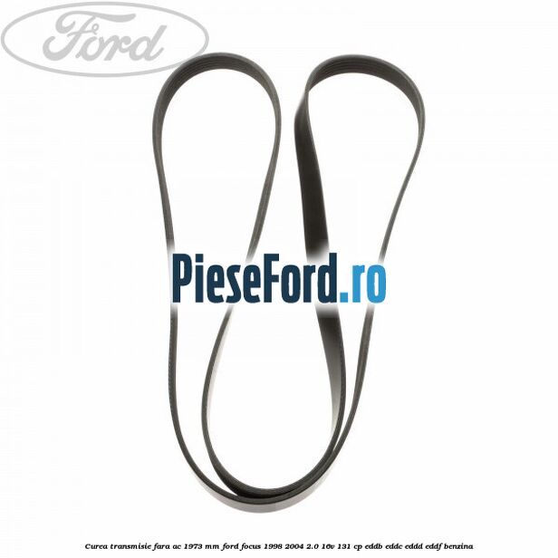 Curea transmisie fara AC 1973 mm Ford Focus 1998-2004 2.0 16V 131 cp Curea transmisie fara AC 1973 mm Ford Focus 1998-2004 2.0 16V 131 cp EDDB, EDDC, EDDD, EDDF benzina
