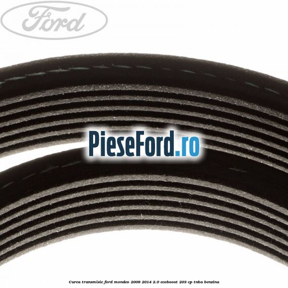 Curea transmisie Ford Mondeo 2008-2014 2.0 EcoBoost 203 cp TNBA benzina