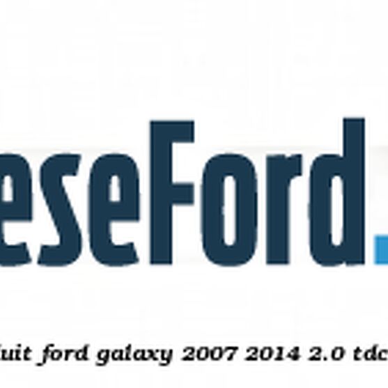 Emblema TITANIUM X bolduit Ford Galaxy 2007-2014 2.0 TDCi 136 cp AZWC, UKWA diesel