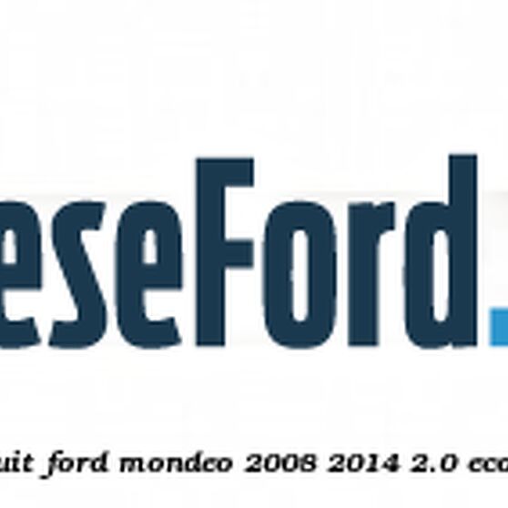 Emblema TITANIUM X bolduit Ford Mondeo 2008-2014 2.0 EcoBoost 240 cp TPBA benzina