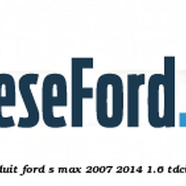 Emblema TITANIUM X bolduit Ford S-Max 2007-2014 1.6 TDCi 115 cp T1WA, T1WB diesel