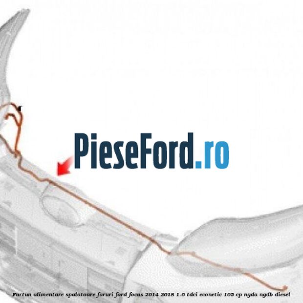 Furtun alimentare spalatoare faruri Ford Focus 2014-2018 1.6 TDCi ECOnetic 105 cp Furtun alimentare spalatoare faruri Ford Focus 2014-2018 1.6 TDCi ECOnetic 105 cp NGDA, NGDB diesel