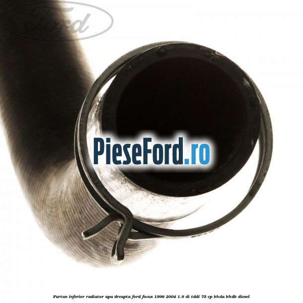 Furtun inferior radiator apa dreapta Ford Focus 1998-2004 1.8 DI/TDDi 75 cp Furtun inferior radiator apa dreapta Ford Focus 1998-2004 1.8 DI/TDDi 75 cp BHDA, BHDB diesel