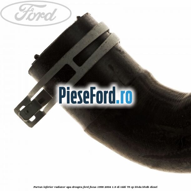 Furtun inferior radiator apa dreapta Ford Focus 1998-2004 1.8 DI/TDDi 75 cp Furtun inferior radiator apa dreapta Ford Focus 1998-2004 1.8 DI/TDDi 75 cp BHDA, BHDB diesel