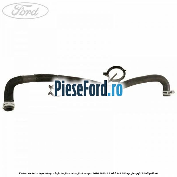 Furtun radiator apa dreapta inferior fara valva Ford Ranger 2016-2020 2.2 TDCi 4x4 160 cp Furtun radiator apa dreapta inferior fara valva Ford Ranger 2016-2020 2.2 TDCi 4x4 160 cp GBVAJQJ, T22DD0P diesel