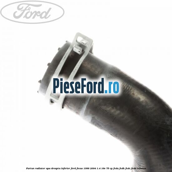 Furtun radiator apa dreapta inferior Ford Focus 1998-2004 1.4 16V 75 cp FXDA, FXDB, FXDC, FXDD benzina