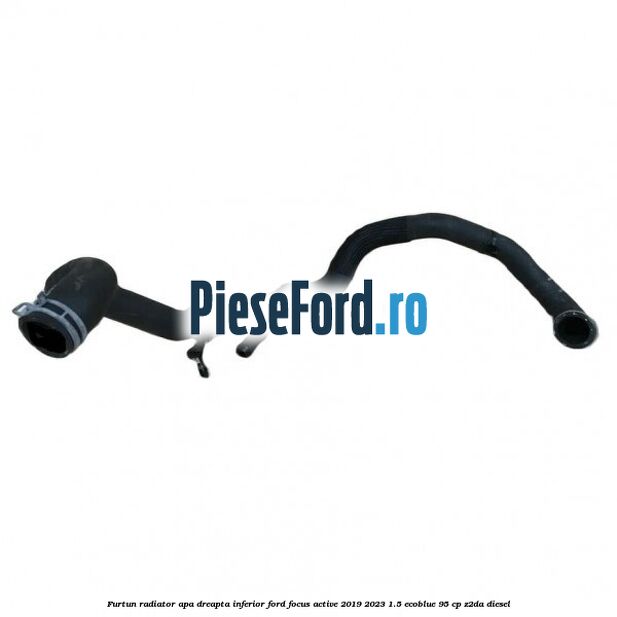Furtun radiator apa dreapta inferior Ford Focus Active 2019-2023 1.5 EcoBlue 95 cp Z2DA diesel