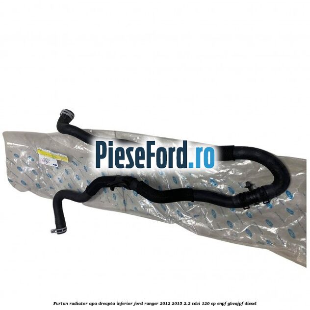 Furtun radiator apa dreapta inferior Ford Ranger 2012-2015 2.2 TDCi 120 cp ENPF, GBVAJPF diesel